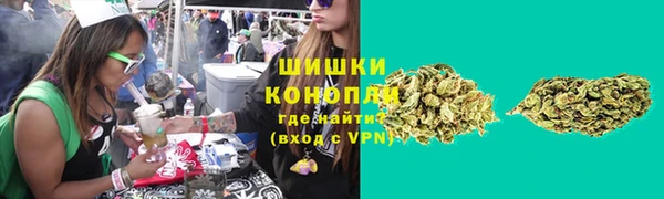 прущие крисы Бородино