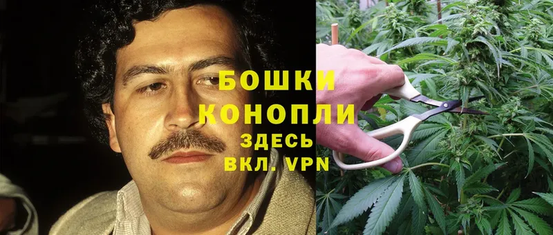 hydra как зайти  Алушта  Канабис Ganja  цена наркотик 